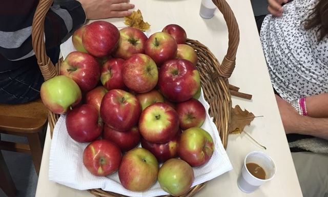 Kako ubrzati oporavak od bolesti uz pomoć kuzua