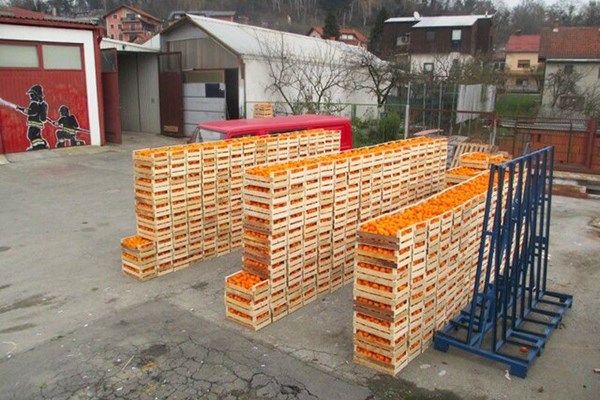 Krapinsko-zagorska županija - podjela doniranih mandarina